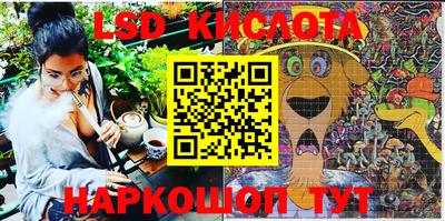 сатива Нальчик