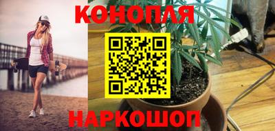сатива Нальчик