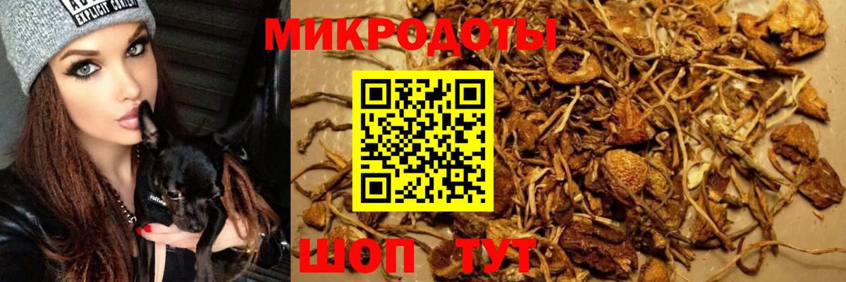 Фурманов  Галлюциногенные грибы мухоморы  Вход с VPN  Псилоцибиновые грибы ЛСД 